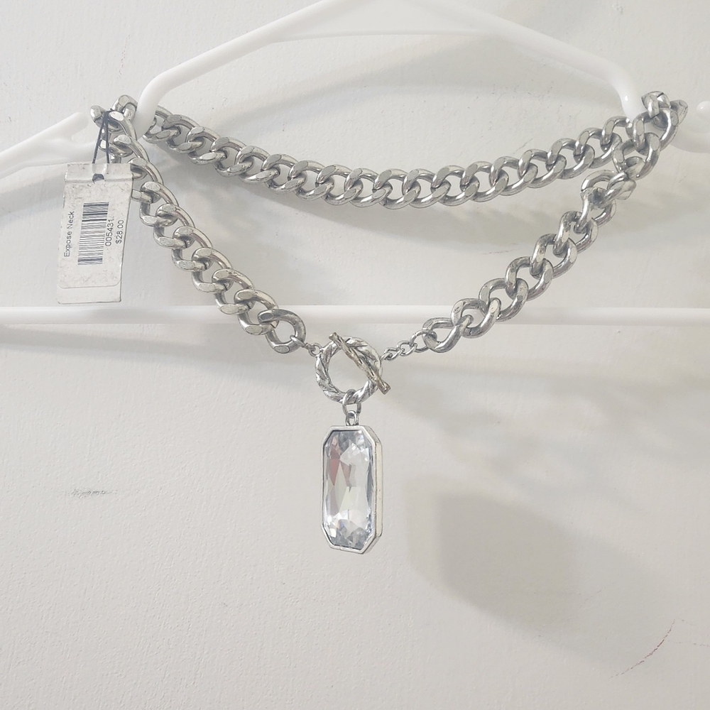 Traci Lynn Silver Necklace with Crystal Charm